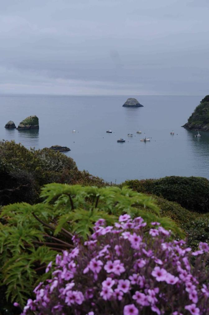 Trinidad Bay Bed And Breakfast Hotel Exteriör bild