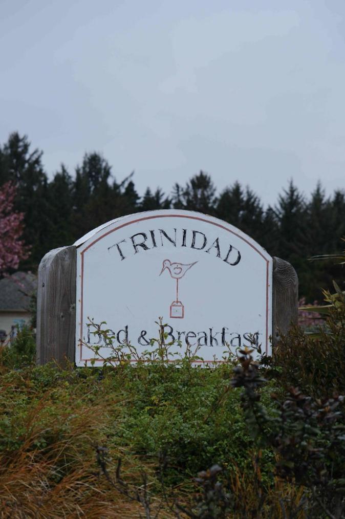 Trinidad Bay Bed And Breakfast Hotel Exteriör bild